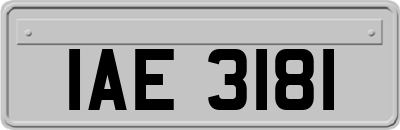 IAE3181