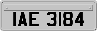 IAE3184