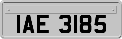 IAE3185