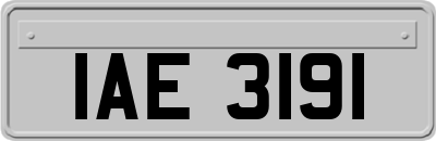 IAE3191