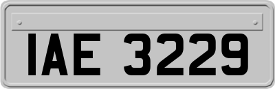 IAE3229