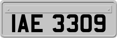 IAE3309