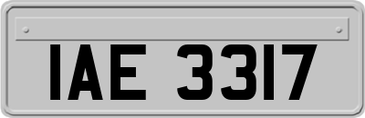 IAE3317