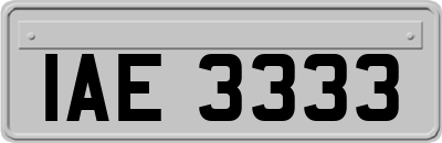 IAE3333