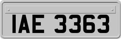 IAE3363