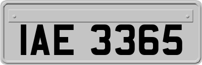 IAE3365