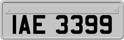 IAE3399