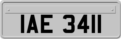 IAE3411
