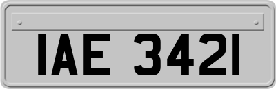IAE3421
