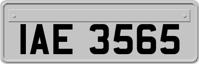 IAE3565