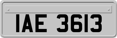 IAE3613