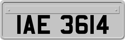 IAE3614