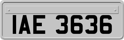 IAE3636