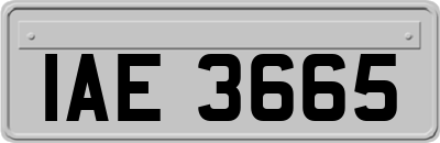 IAE3665