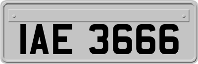 IAE3666