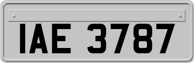 IAE3787