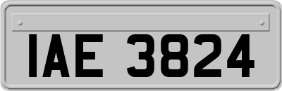 IAE3824