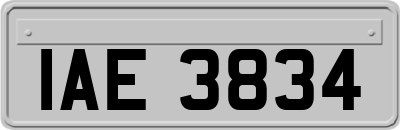 IAE3834