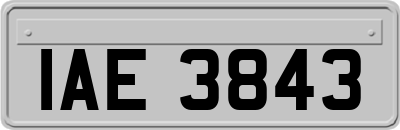 IAE3843
