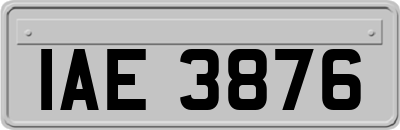 IAE3876