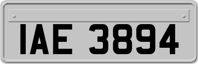 IAE3894