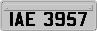 IAE3957