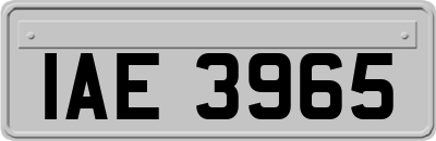 IAE3965