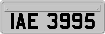 IAE3995