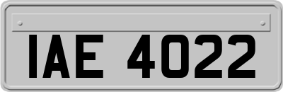 IAE4022