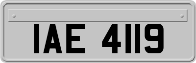 IAE4119