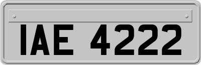 IAE4222