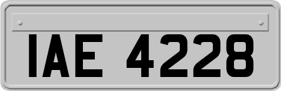 IAE4228