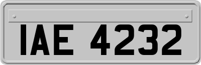 IAE4232