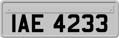 IAE4233