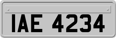IAE4234