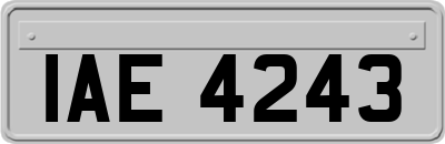 IAE4243