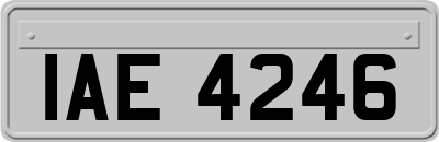 IAE4246