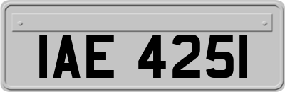 IAE4251