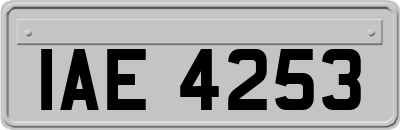 IAE4253