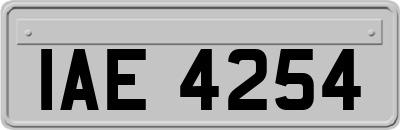 IAE4254