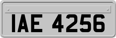 IAE4256