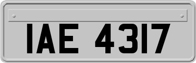 IAE4317