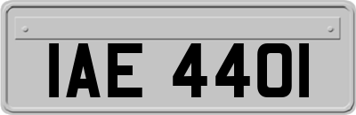 IAE4401