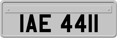 IAE4411