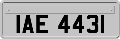 IAE4431