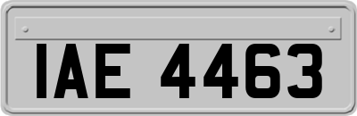 IAE4463