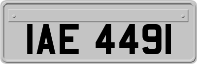 IAE4491