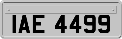 IAE4499
