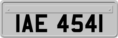 IAE4541