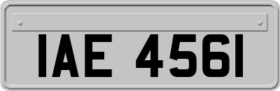 IAE4561